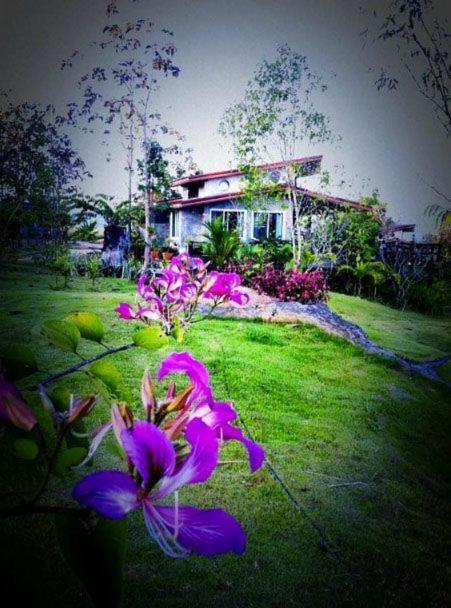 Wangnamkeaw In Love Wang Nam Khiao Exterior photo